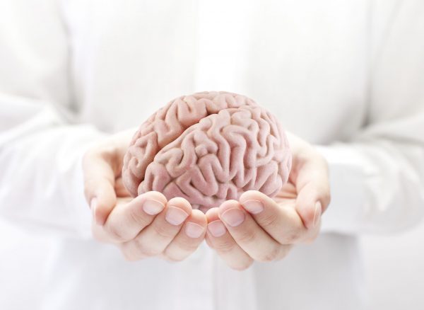 Human brain in hands